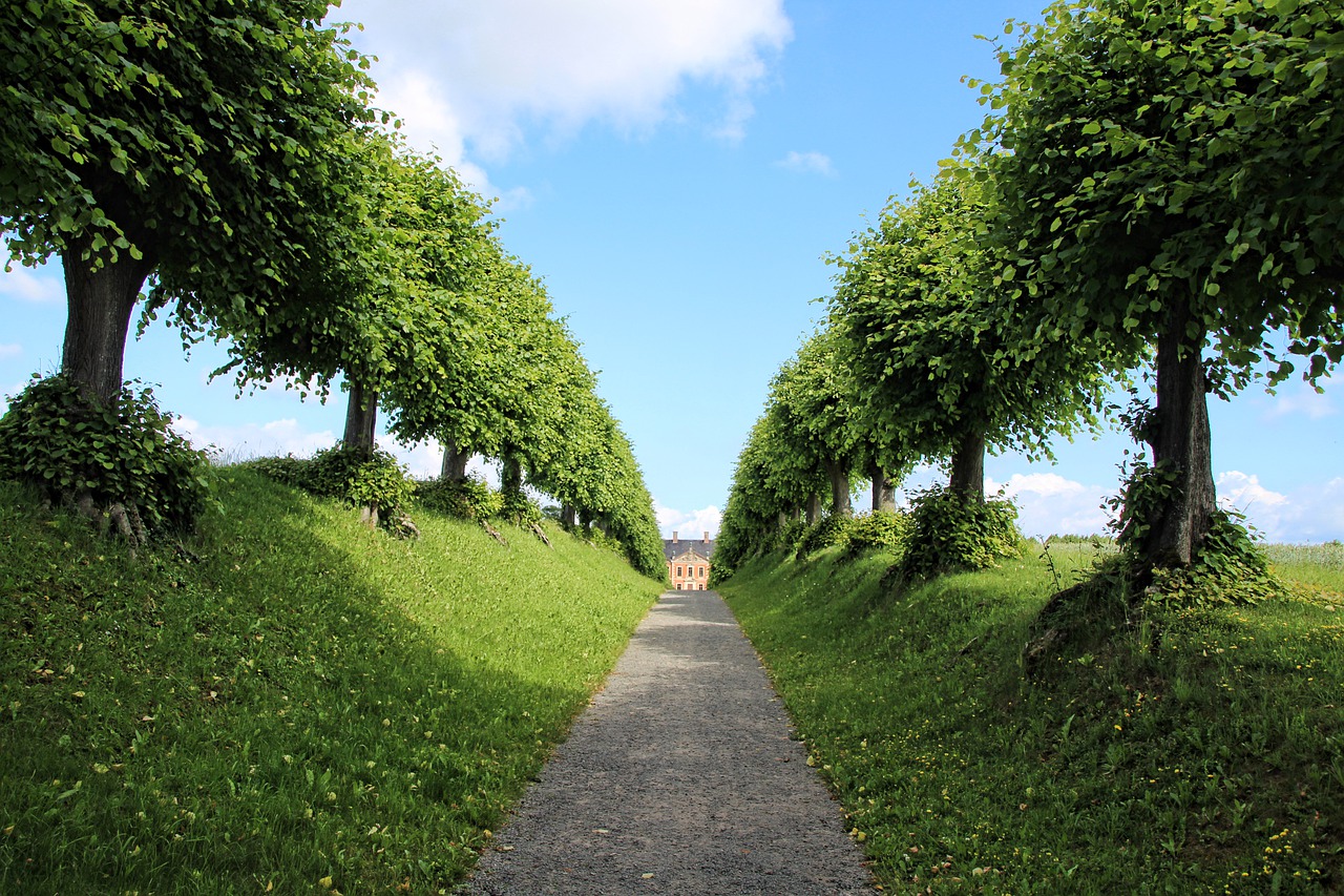 castle, avenue, trees